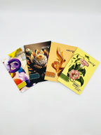 A4 Notebook 360 Pages Softy Series