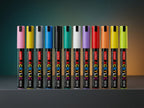 Acrylic Painter 12 shades